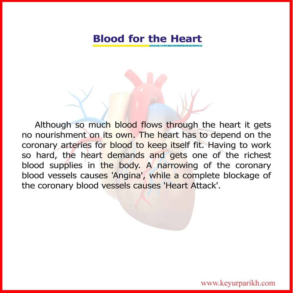Blood for the Heart