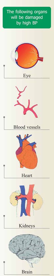 Organs that are damaged due to high blood pressure. 